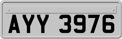 AYY3976