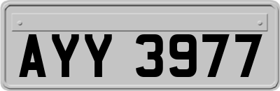 AYY3977