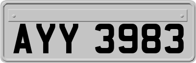 AYY3983