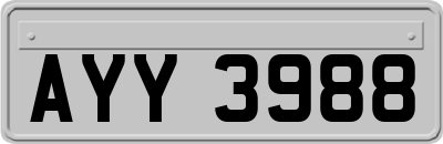 AYY3988