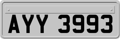 AYY3993