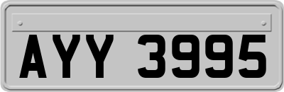 AYY3995