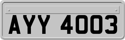 AYY4003