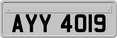 AYY4019