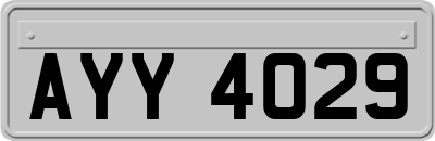 AYY4029