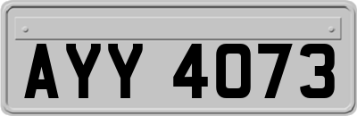 AYY4073