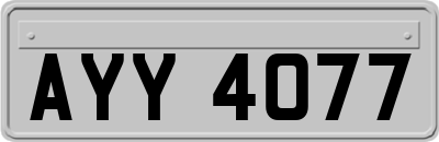 AYY4077
