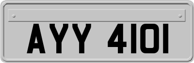 AYY4101