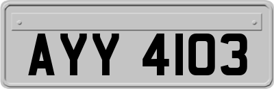 AYY4103
