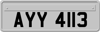 AYY4113