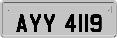 AYY4119