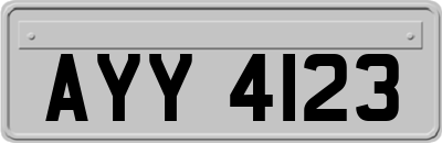 AYY4123