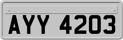 AYY4203
