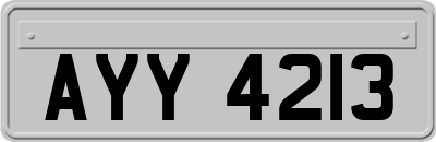 AYY4213