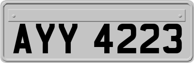 AYY4223