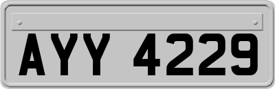 AYY4229