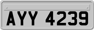 AYY4239