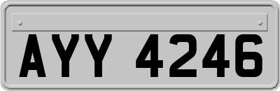 AYY4246