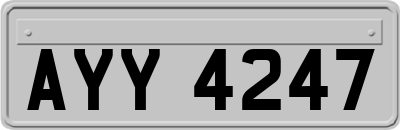 AYY4247