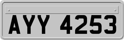 AYY4253