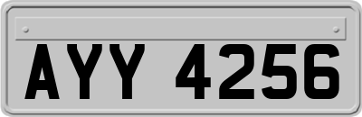 AYY4256