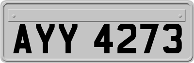 AYY4273
