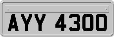 AYY4300