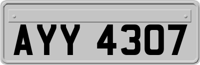 AYY4307