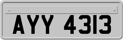 AYY4313