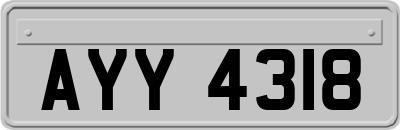 AYY4318
