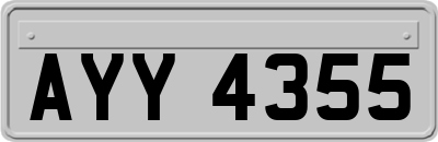 AYY4355