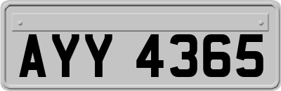 AYY4365