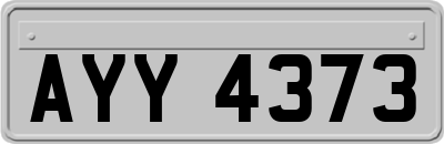 AYY4373