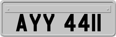 AYY4411