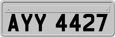 AYY4427
