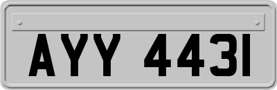 AYY4431