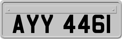 AYY4461