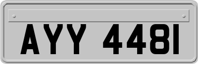 AYY4481