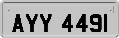 AYY4491