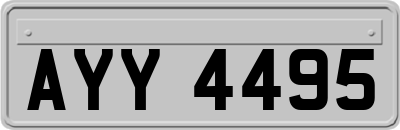 AYY4495