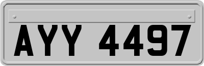 AYY4497