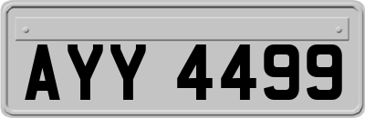 AYY4499