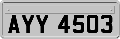 AYY4503
