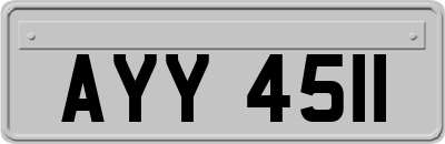 AYY4511