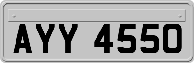 AYY4550