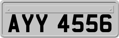 AYY4556