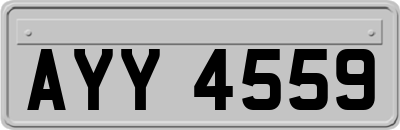 AYY4559