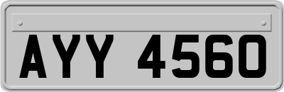 AYY4560