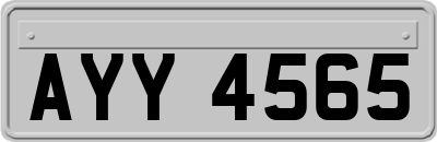 AYY4565