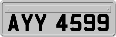 AYY4599